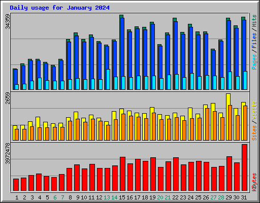 Daily usage for January 2024