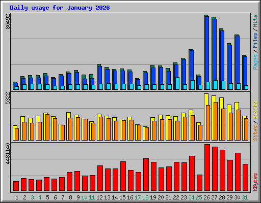 Daily usage for January 2026