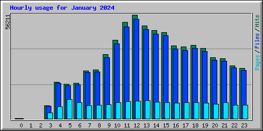 Hourly usage for January 2024