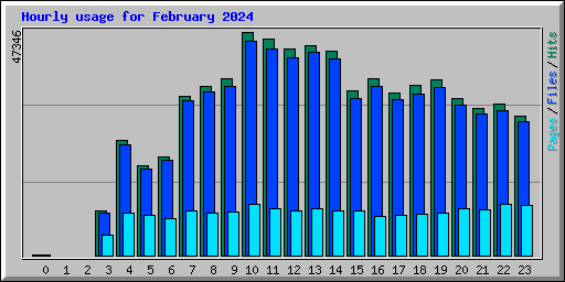 Hourly usage for February 2024