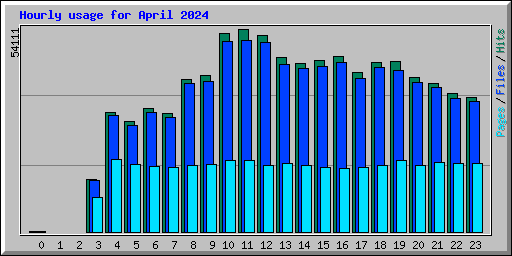 Hourly usage for April 2024