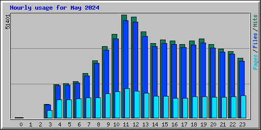 Hourly usage for May 2024