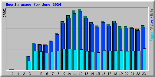 Hourly usage for June 2024