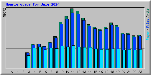 Hourly usage for July 2024