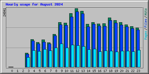 Hourly usage for August 2024