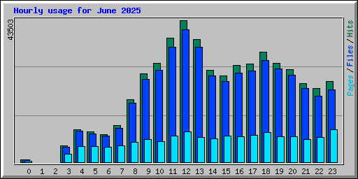Hourly usage for June 2025