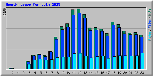 Hourly usage for July 2025