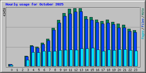 Hourly usage for October 2025