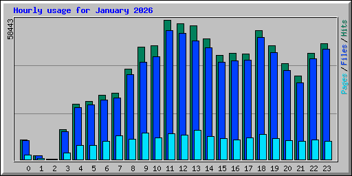 Hourly usage for January 2026