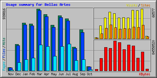 Usage summary for Bellas Artes