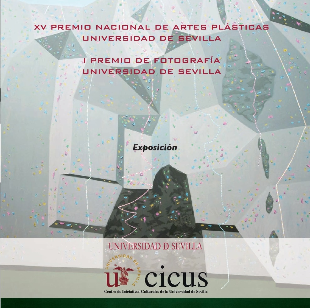 XV Premio Nacional de Artes Plásticas
