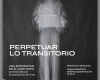 'Perpetuar lo transitorio', una exposición de Álvaro Soto