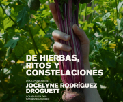 Cartel