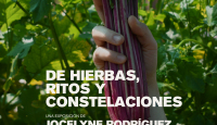 Cartel